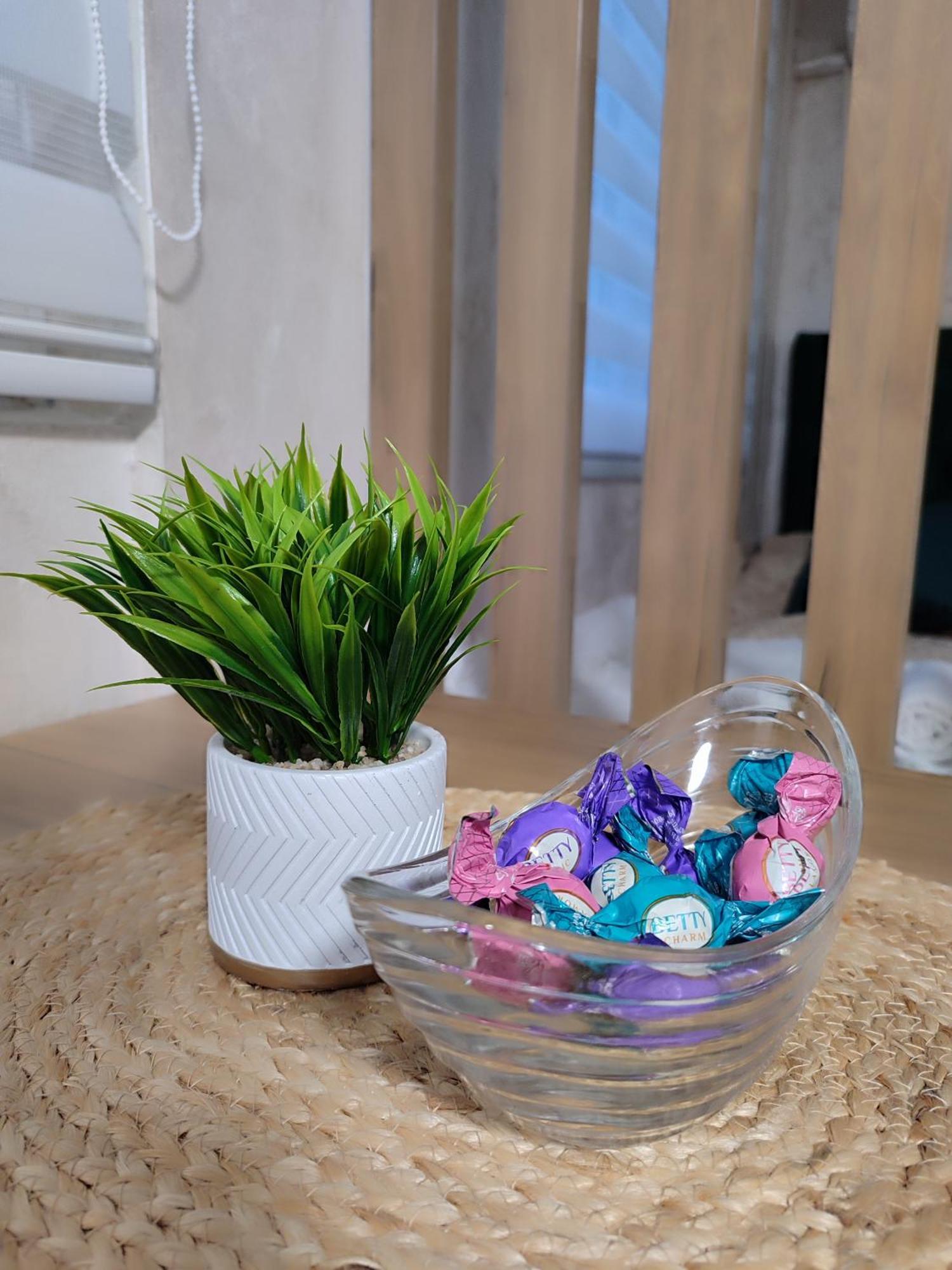 Studio Apartman Free Parking Rubikon Beograd Værelse billede